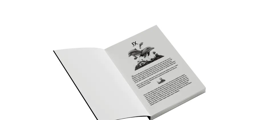 Story Structuring by Spine Book Publishers